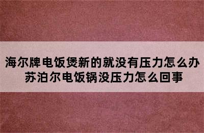 海尔牌电饭煲新的就没有压力怎么办 苏泊尔电饭锅没压力怎么回事